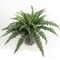 2-Pack: Boston Fern Plant with 42 Silk Fronds, 34&#x22; Wide, UV Resistant, Faux Greenery by Floral Home&#xAE;